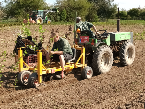 Plantation de 13000 arbres SPG en décembre