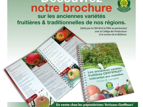Brochure Certifruit