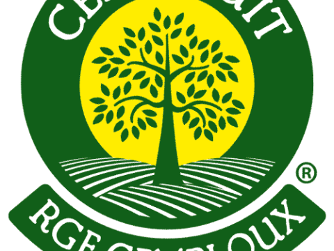Certifrui