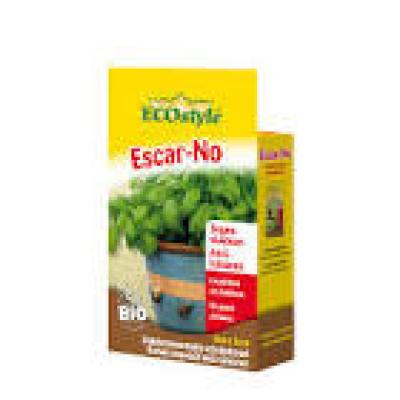 ESCAR-NO RUBAN ECOSTYLE